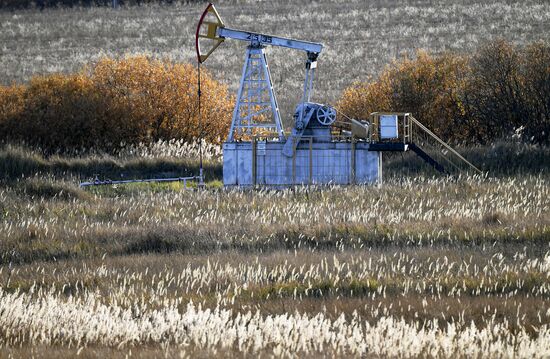 Russia Oil