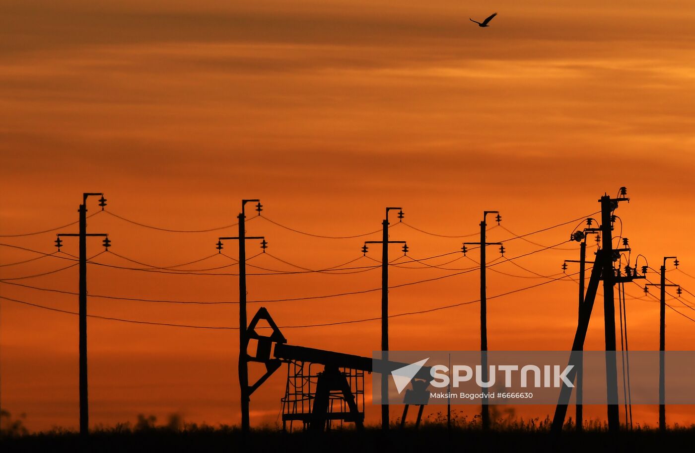 Russia Oil