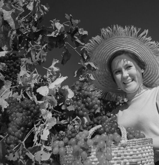 Gurzuf wine state farm in Crimea