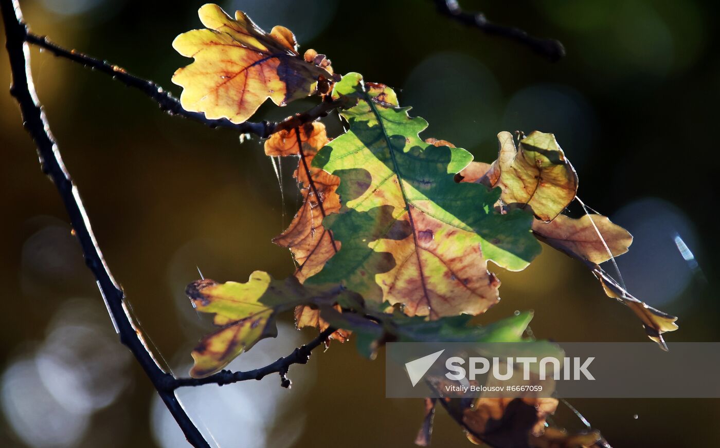 Fall in Moscow