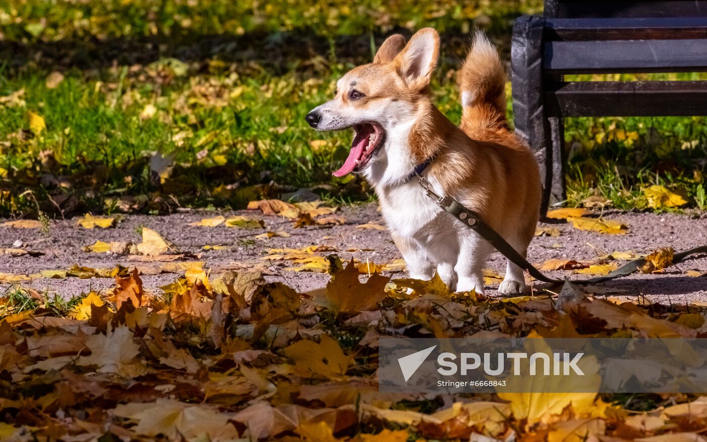 Russia Autumn