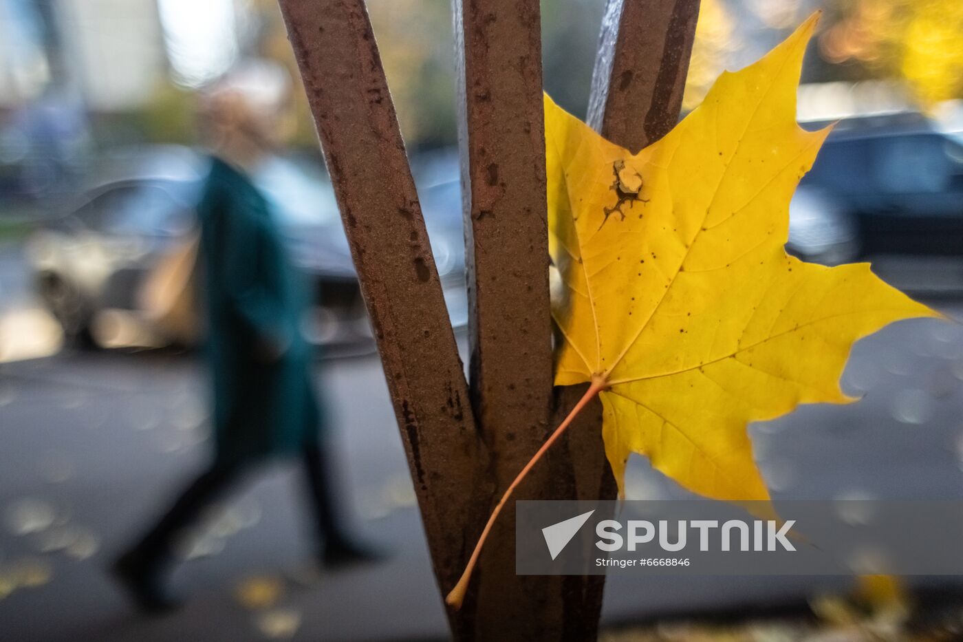 Russia Autumn