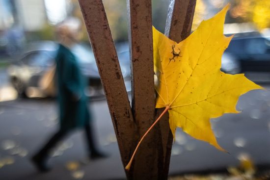 Russia Autumn