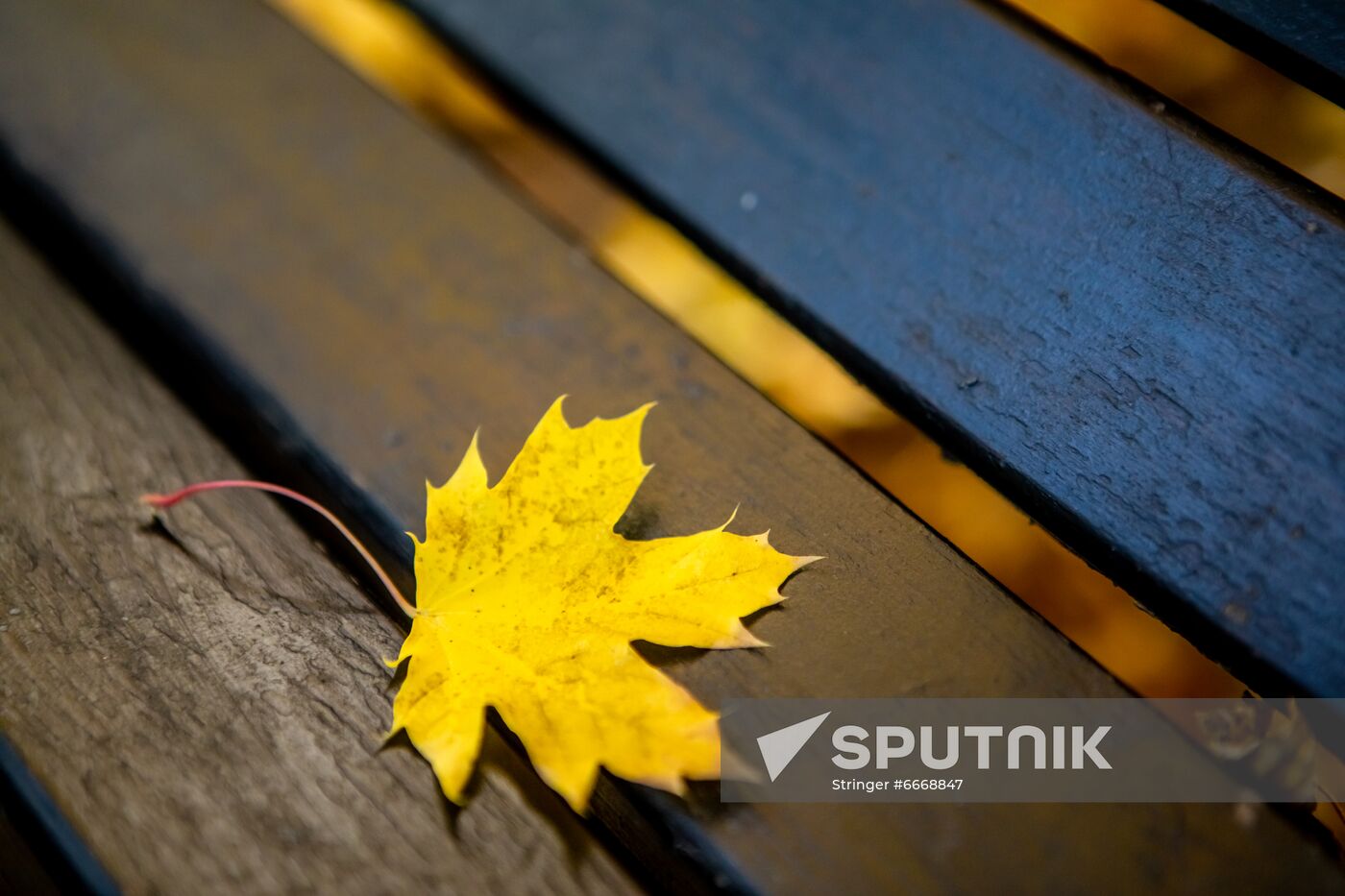Russia Autumn