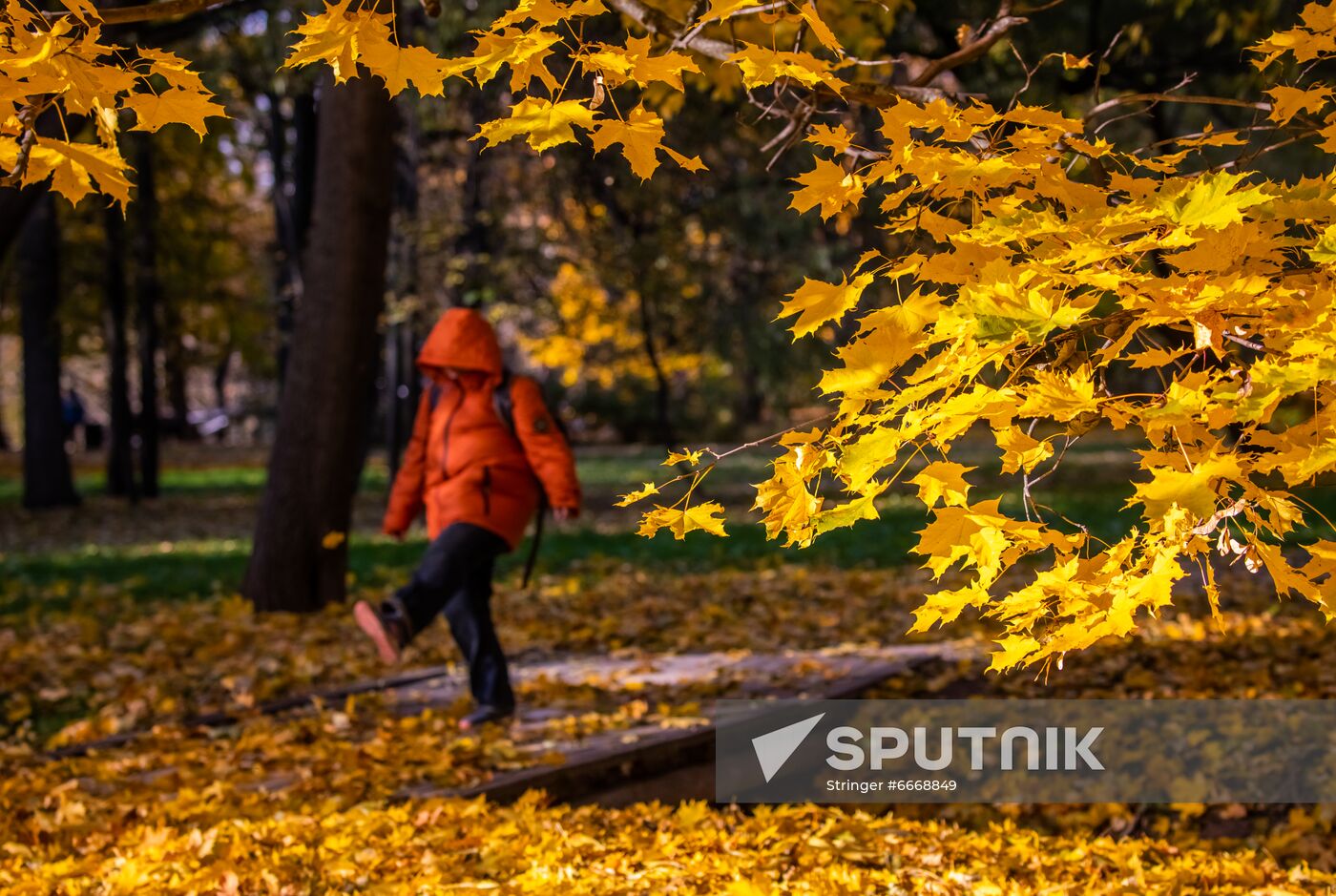 Russia Autumn