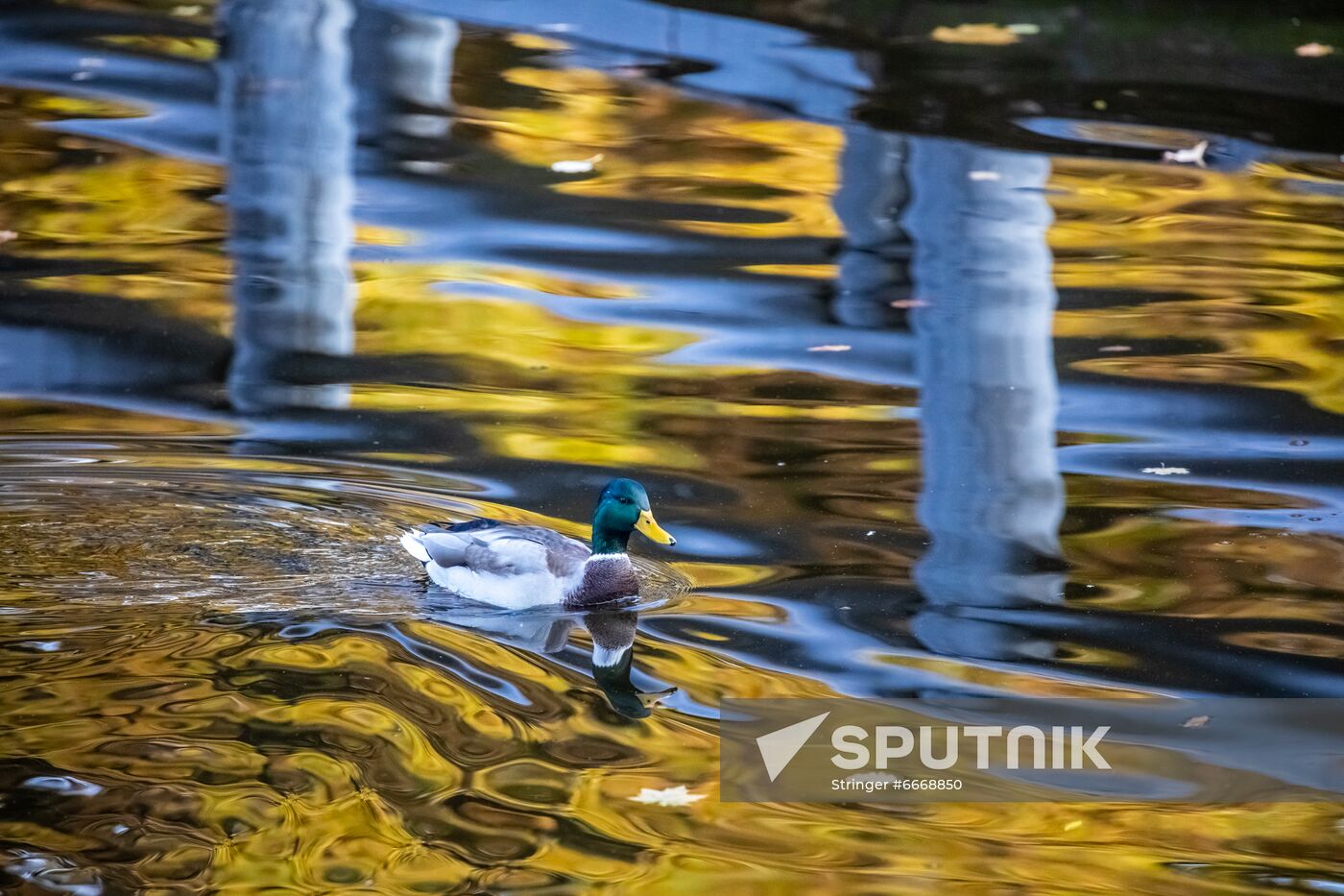 Russia Autumn