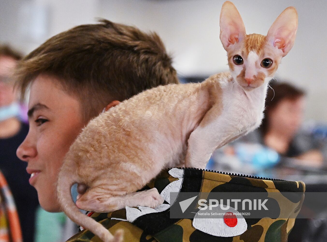 Russia Cats Show
