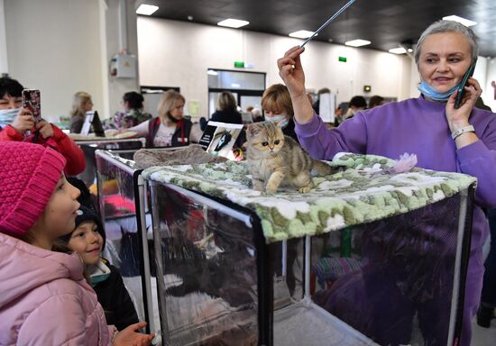 Russia Cats Show