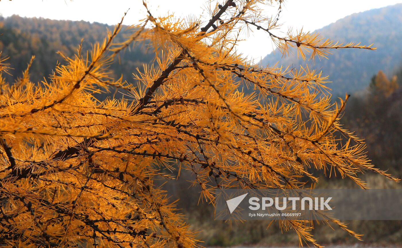 Russia Autumn