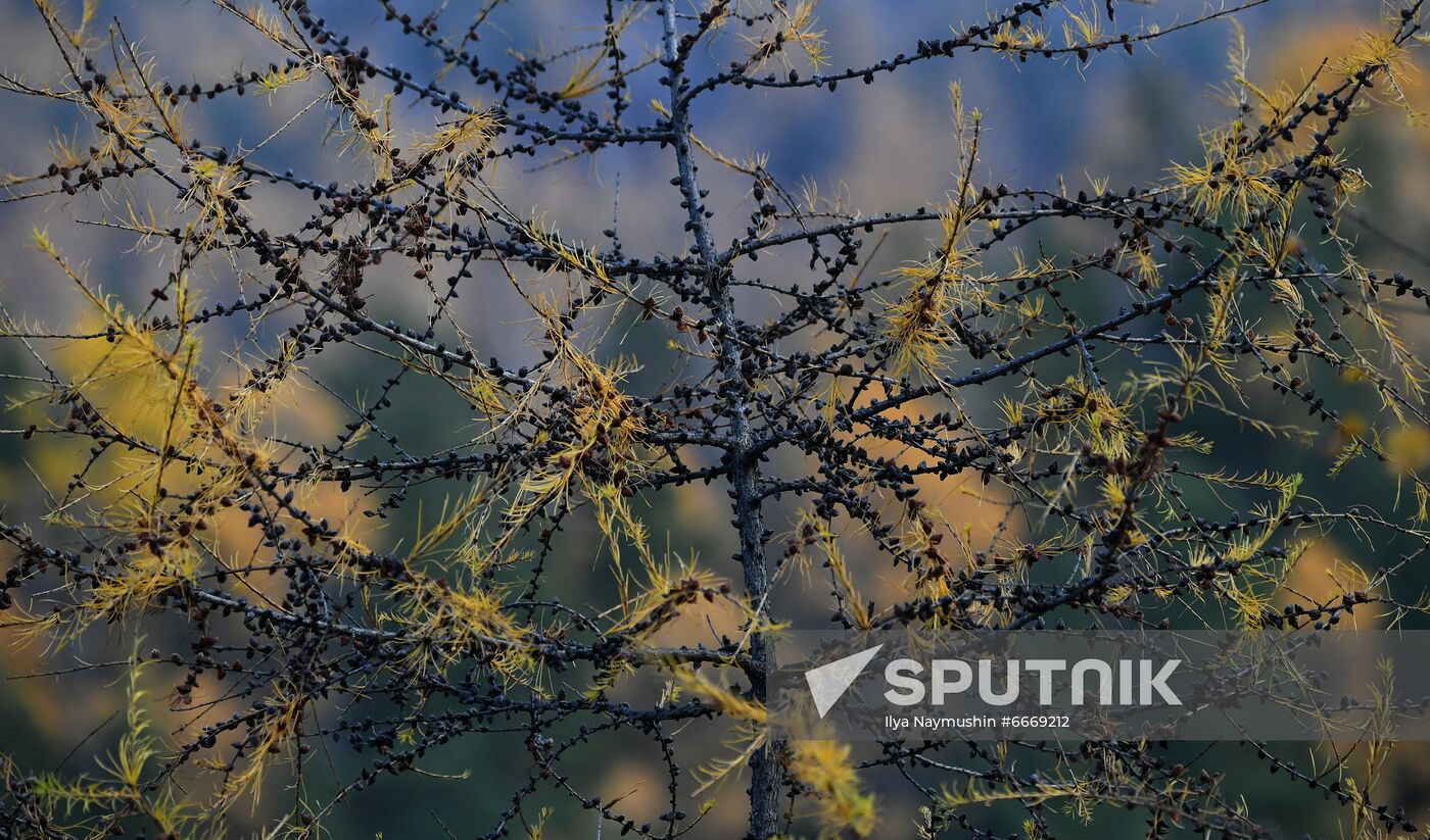 Russia Autumn
