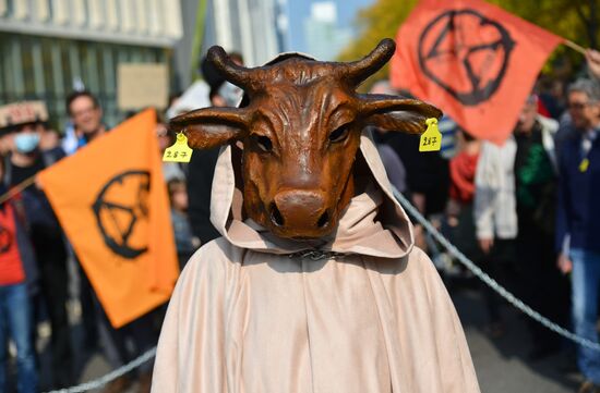 Belgium Environment Rally