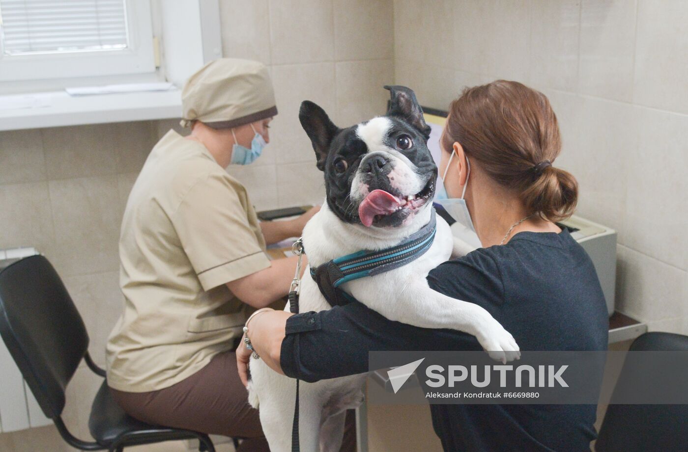 Russia Coronavirus Animals Vaccination
