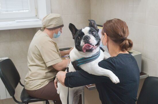 Russia Coronavirus Animals Vaccination