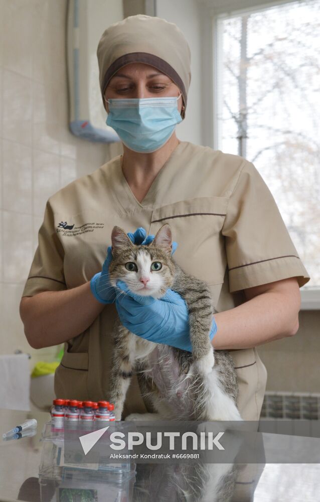 Russia Coronavirus Animals Vaccination
