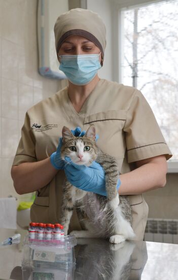Russia Coronavirus Animals Vaccination