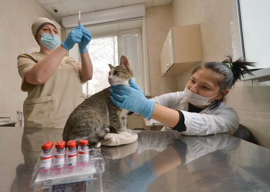 Russia Coronavirus Animals Vaccination