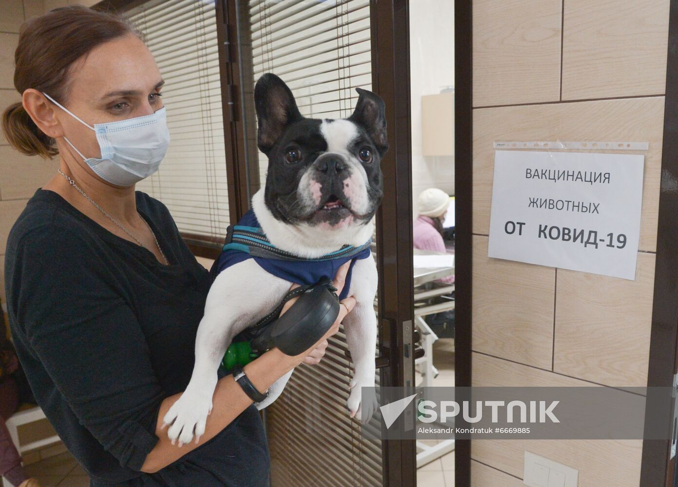 Russia Coronavirus Animals Vaccination