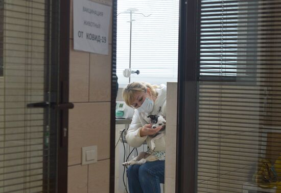 Russia Coronavirus Animals Vaccination