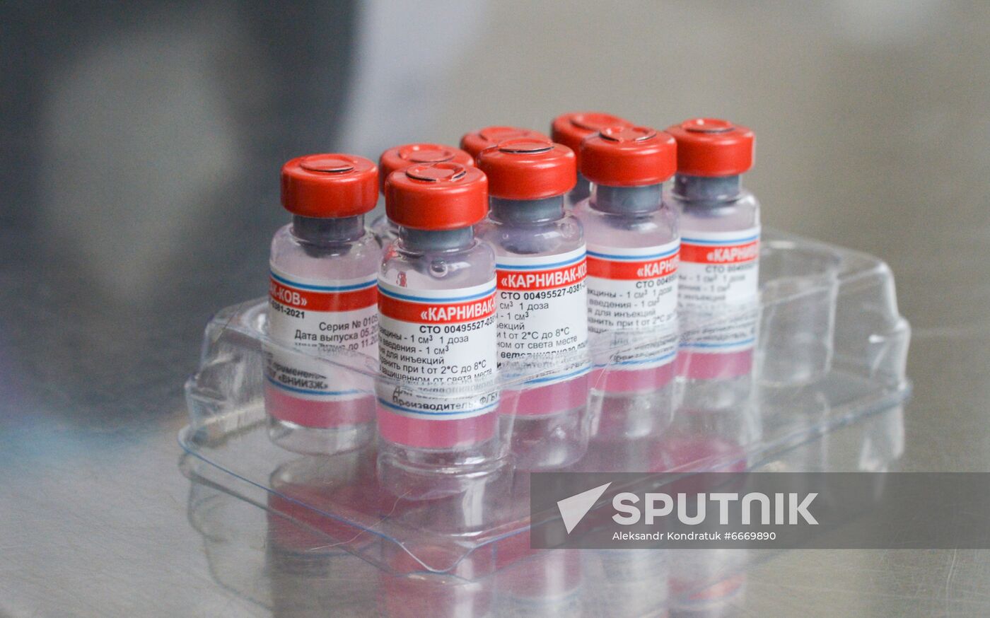 Russia Coronavirus Animals Vaccination