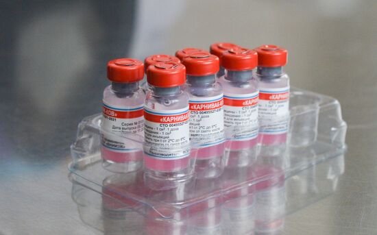 Russia Coronavirus Animals Vaccination