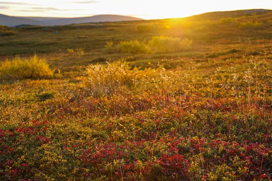 Sredny and Rybachy peninsulas in Murmansk Region