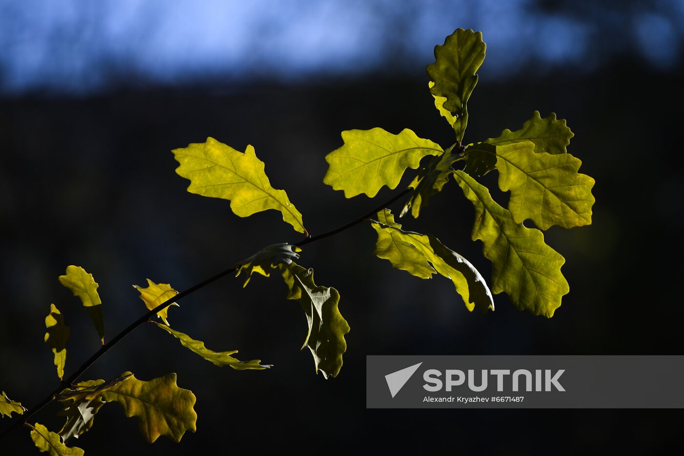 Russia Autumn