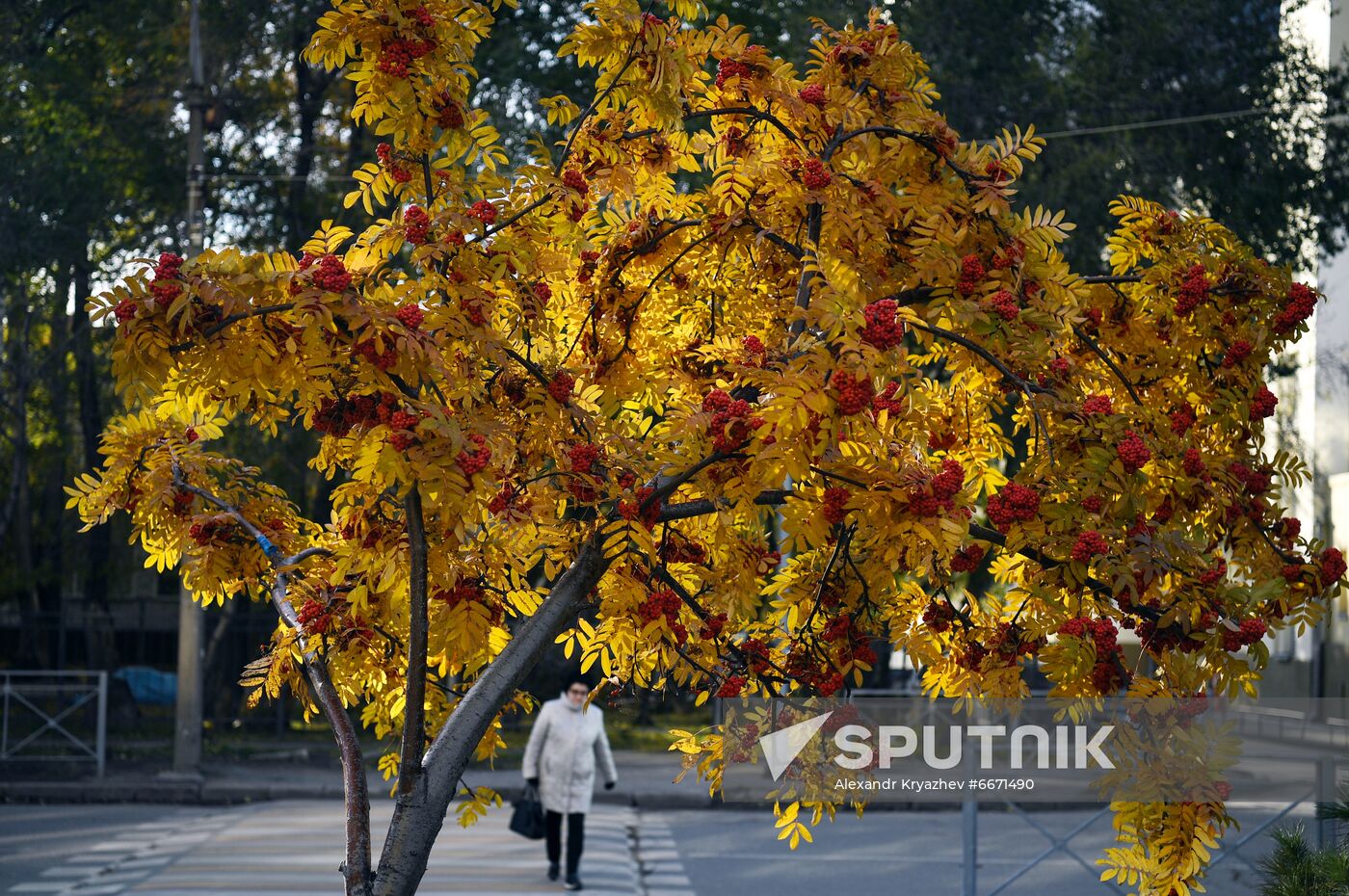 Russia Autumn