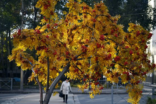 Russia Autumn