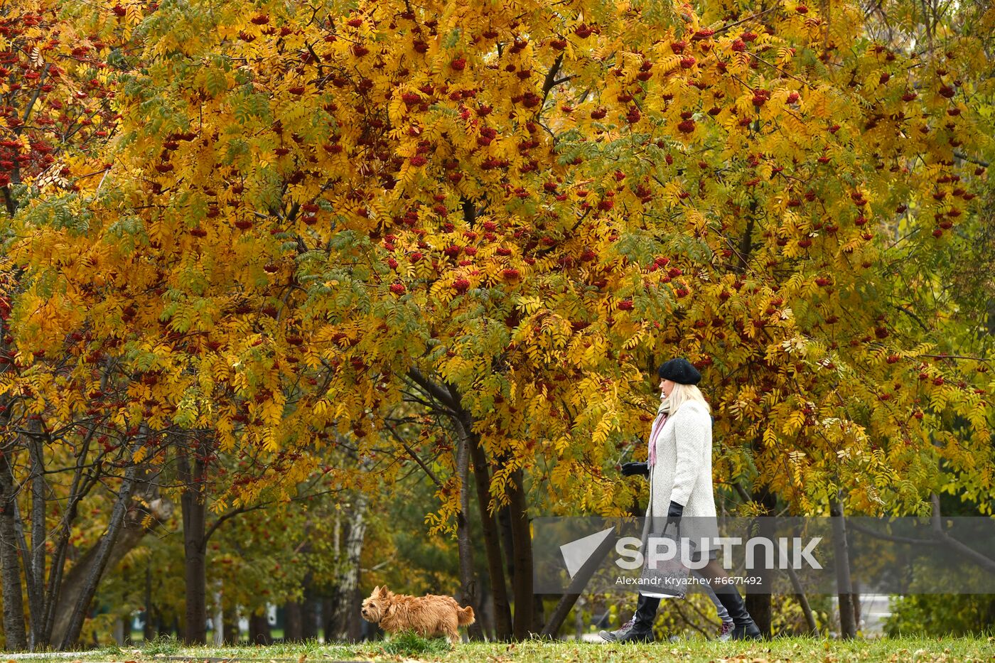 Russia Autumn