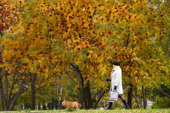 Russia Autumn