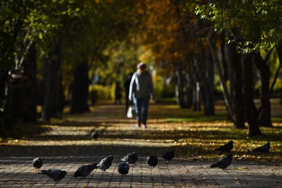 Russia Autumn