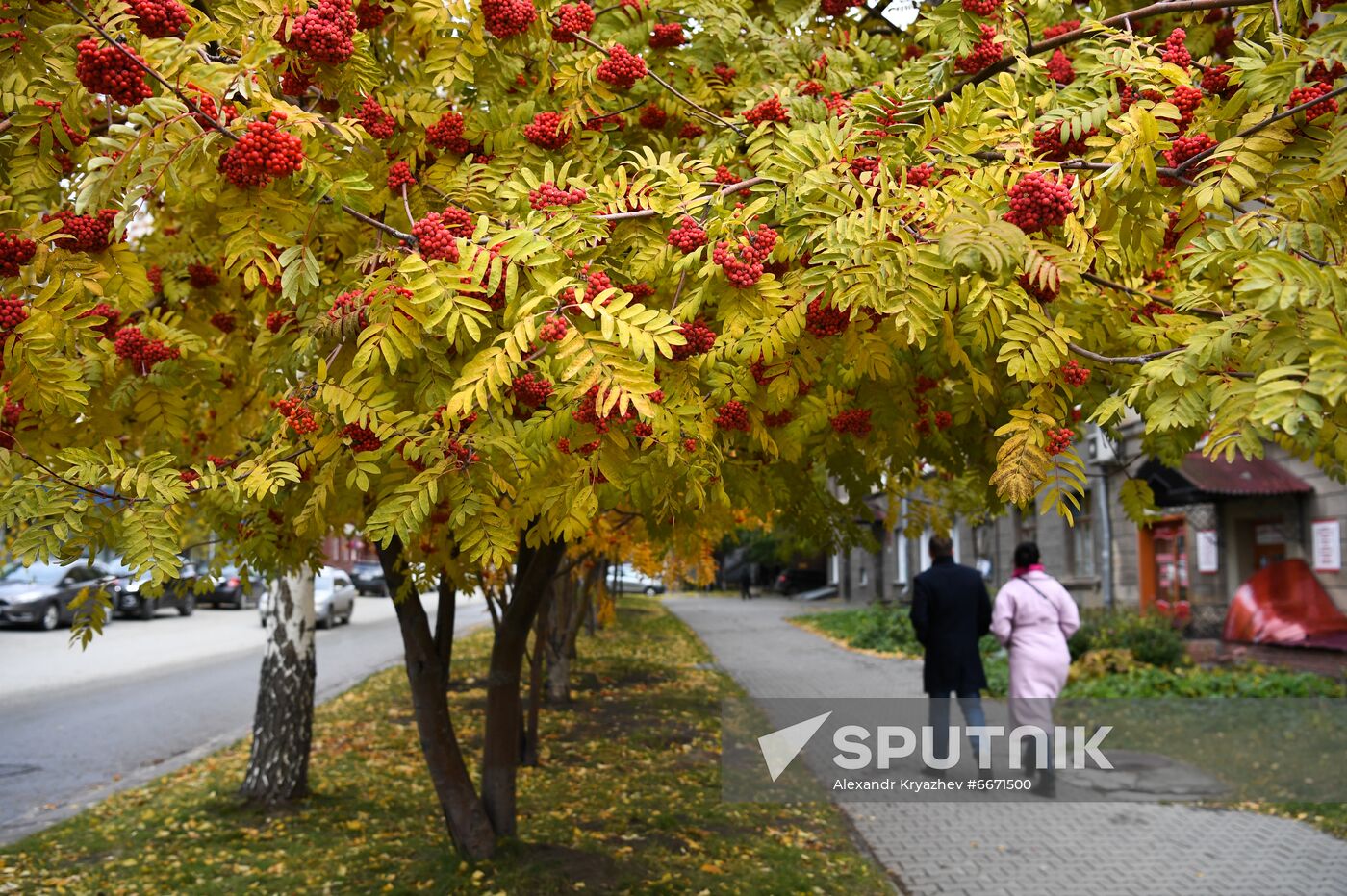 Russia Autumn