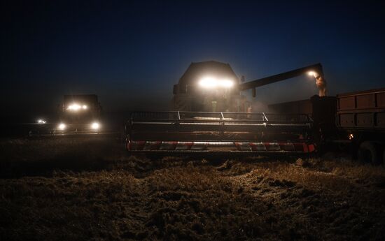 Russia Agriculture Harvesting