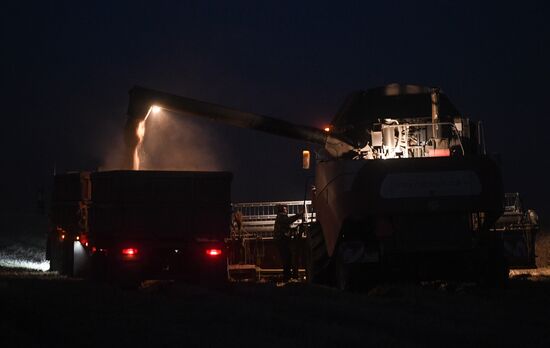 Russia Agriculture Harvesting