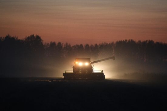 Russia Agriculture Harvesting