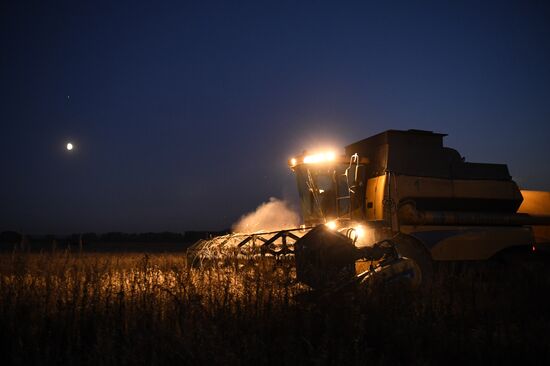 Russia Agriculture Harvesting