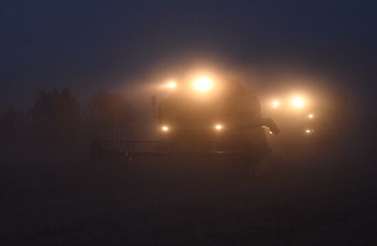 Russia Agriculture Harvesting