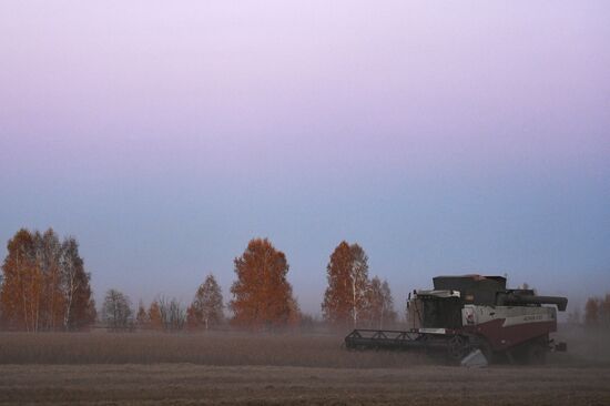 Russia Agriculture Harvesting