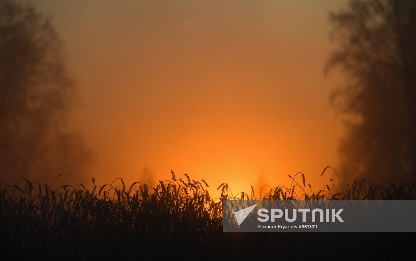 Russia Agriculture Harvesting