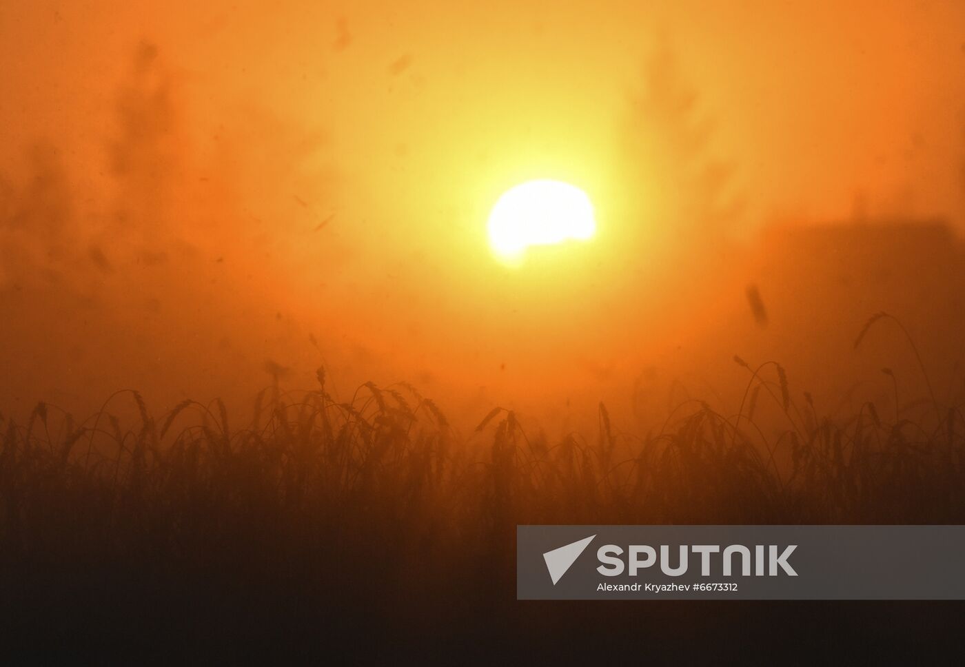 Russia Agriculture Harvesting