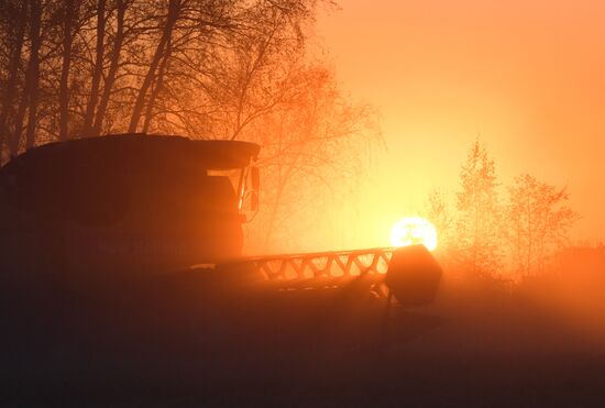 Russia Agriculture Harvesting