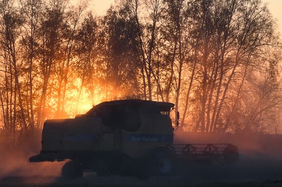 Russia Agriculture Harvesting