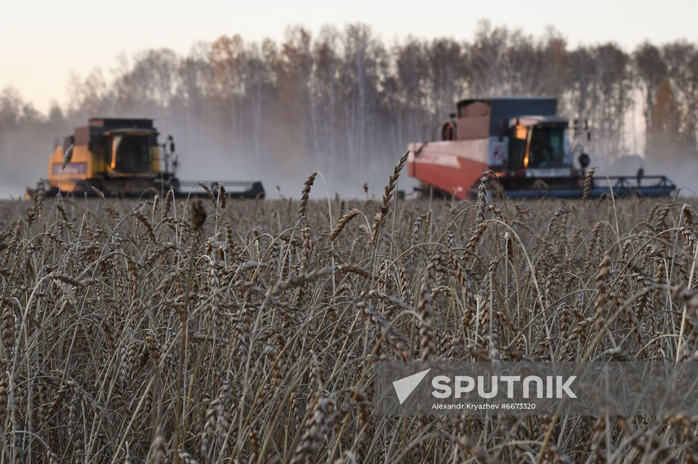 Russia Agriculture Harvesting
