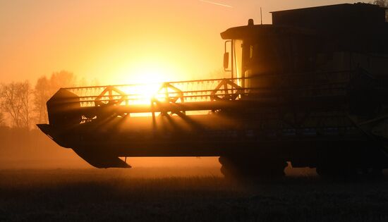 Russia Agriculture Harvesting