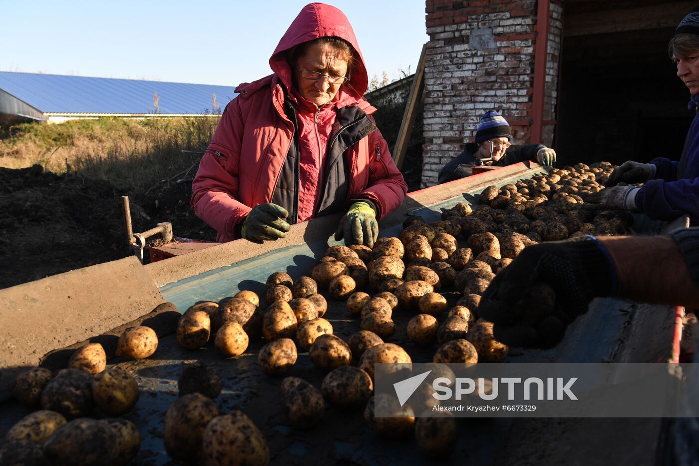 Russia Agriculture Harvesting