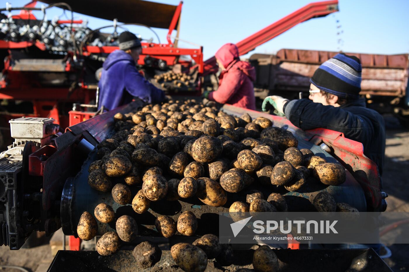 Russia Agriculture Harvesting