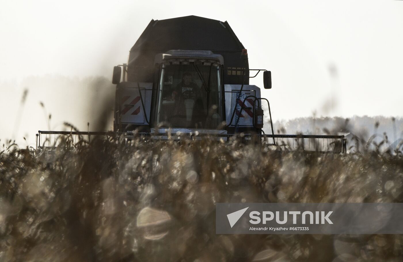 Russia Agriculture Harvesting