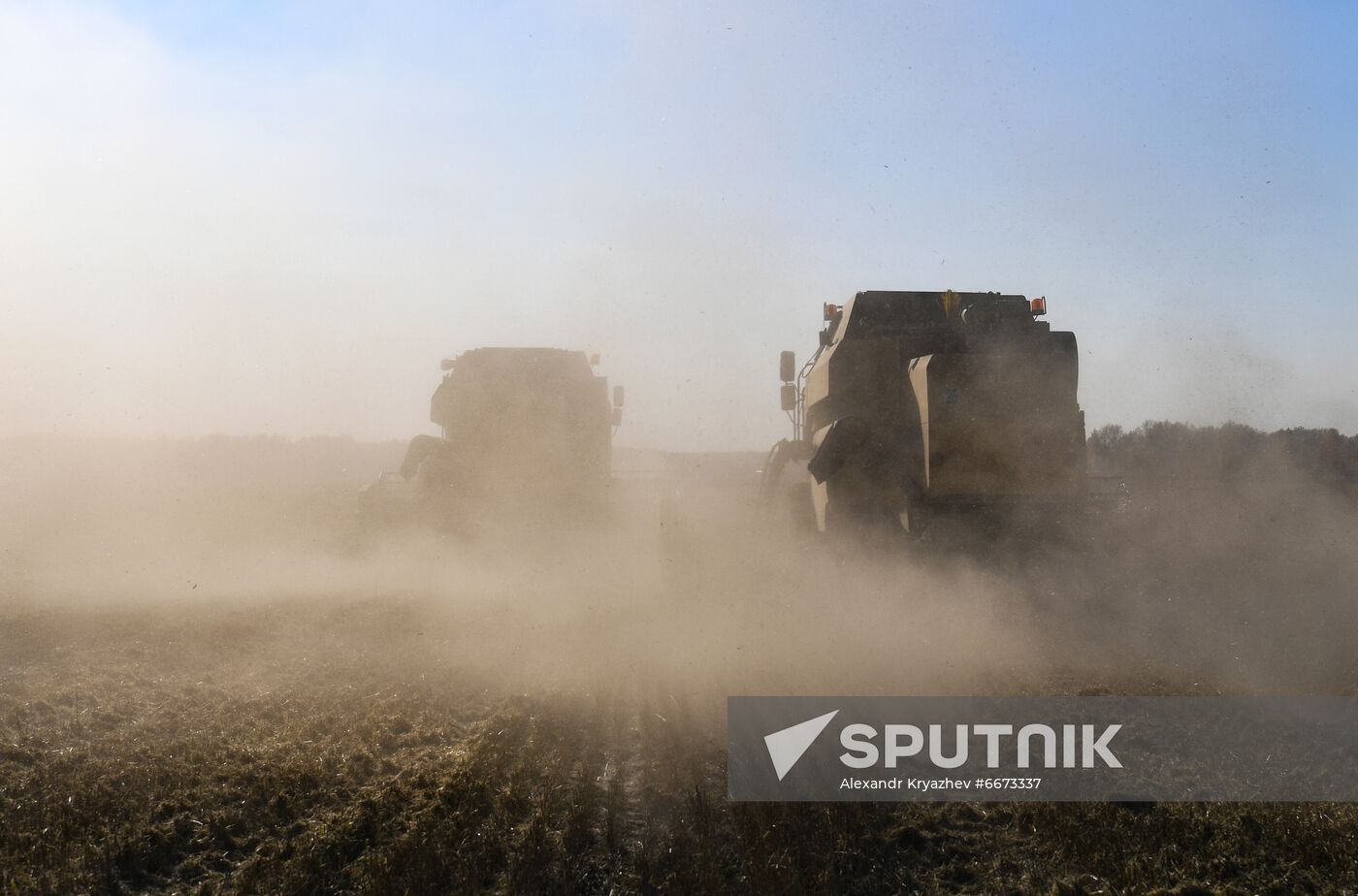 Russia Agriculture Harvesting