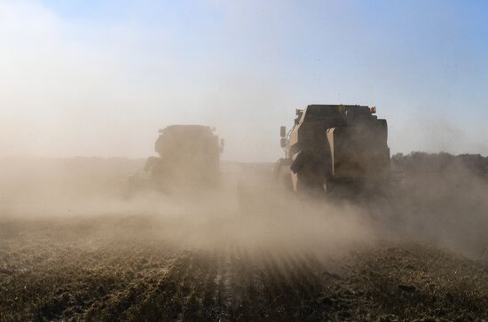 Russia Agriculture Harvesting