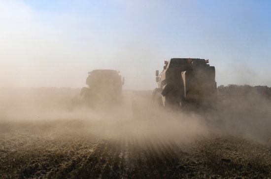 Russia Agriculture Harvesting
